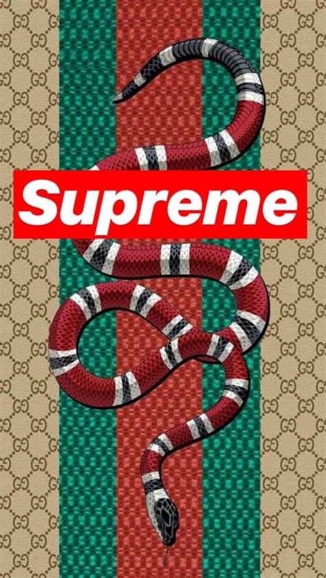 gucci and supreme background.